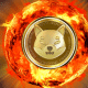 Shiba Burn Portal