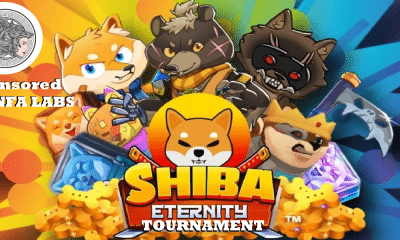 Shiba Eternity Tournament