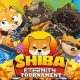 Shiba Eternity Tournament
