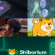 Shibarium Projects