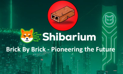 Brick by Brick SHibarium
