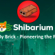 Brick by Brick SHibarium